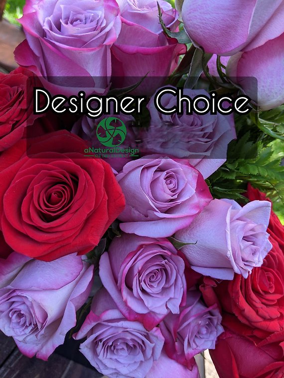 Designer Choice III