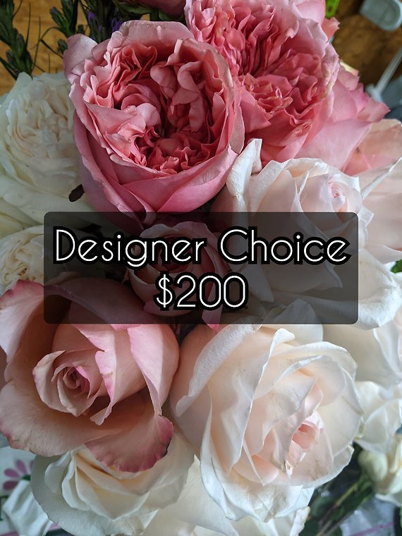 Designer Choice Plus