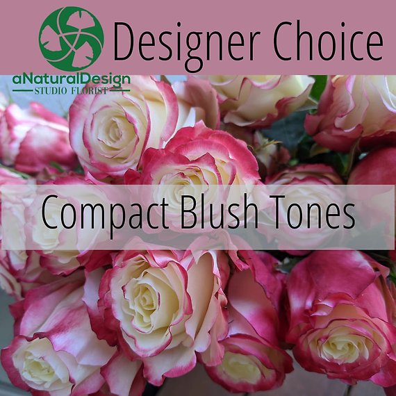 Compact Blush Tones